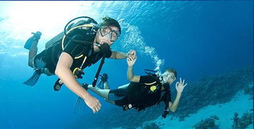 潜水初学者必看：装备指南助你探索水下世界！