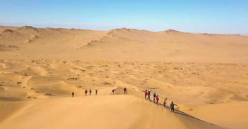 戈壁滩驼队徒步旅行：一次穿越荒漠的独特体验