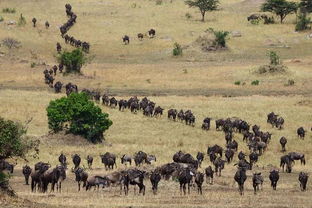 坦桑尼亚的风景名胜区