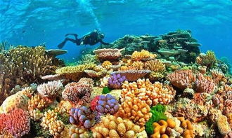 澳大利亚大堡礁长度多少